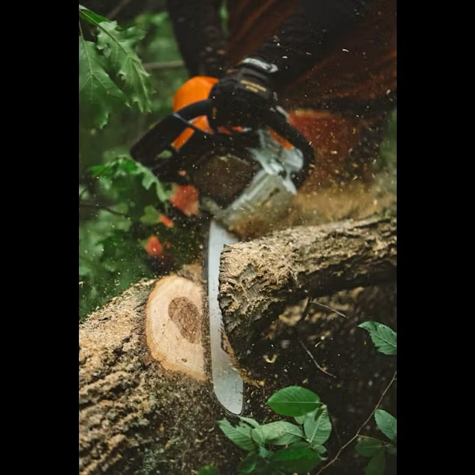 MS 462 C-M FRONT ANGLE CUTTING TREE