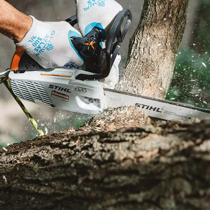 STIHL MS151 T C-E CHAINSAW CUTTING WOOD