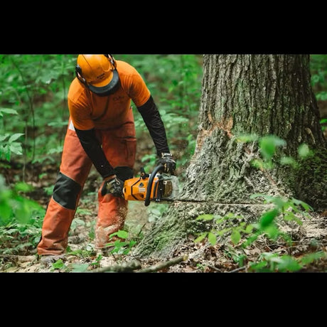 STIHL MS 500I VIEW CUTTING LARGE TREE